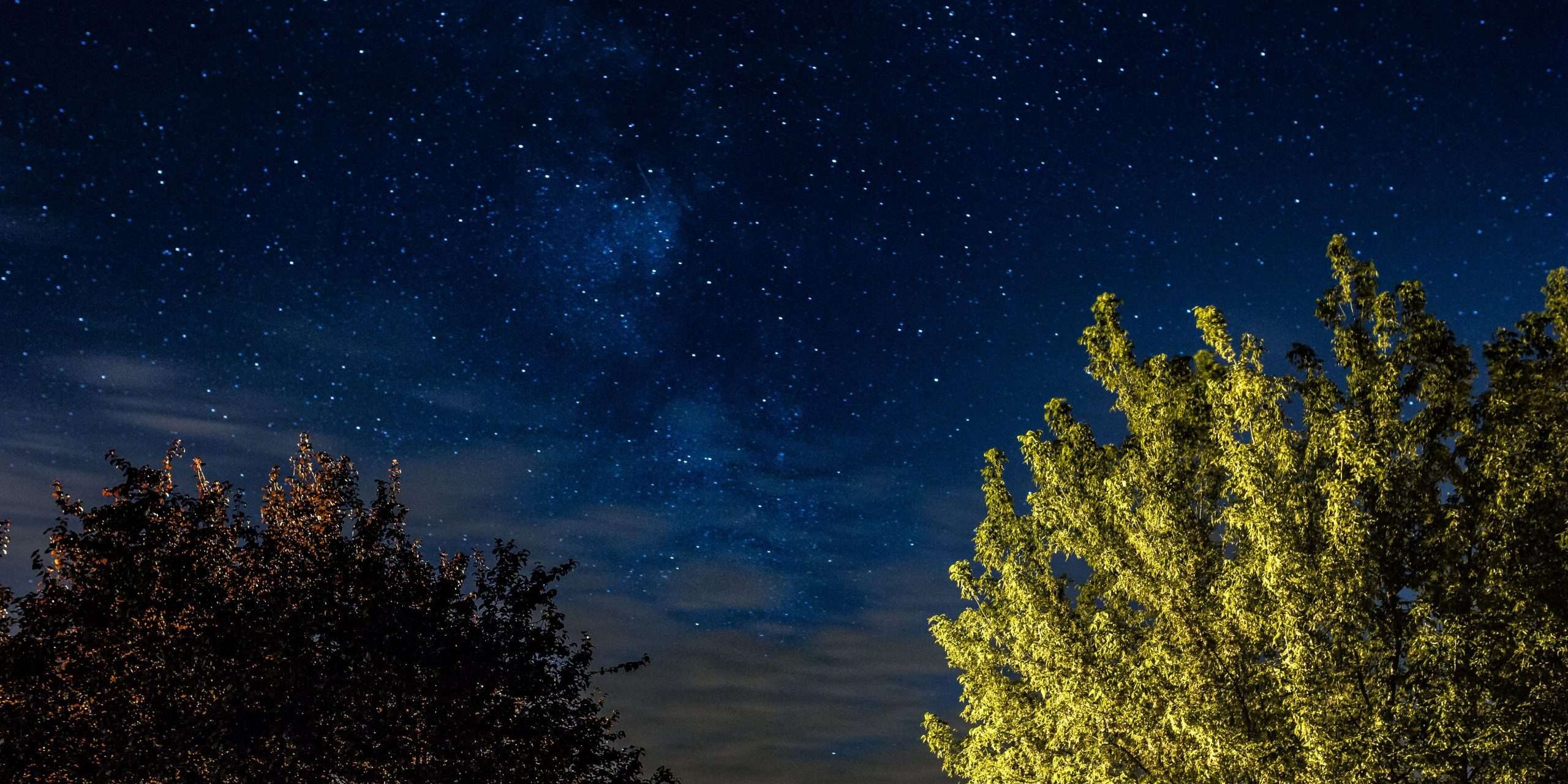 kaboompics a trees under the starry sky 5690 scaled e1758565585656