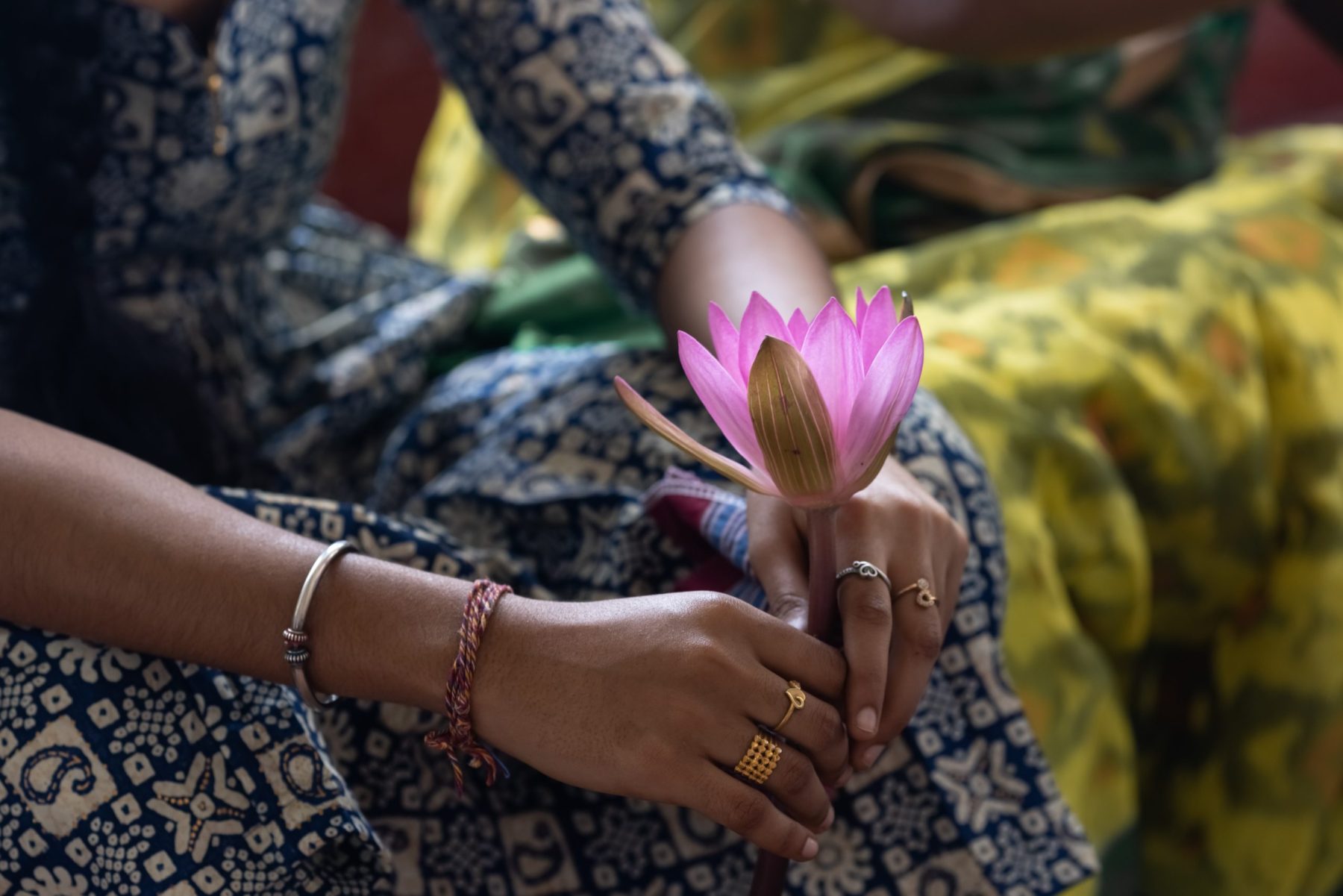 Manos de mujer sosteniendo una flor de loto rosa sobre fondo negro, símbolo del Nakshatra Puṣya en la astrología védica