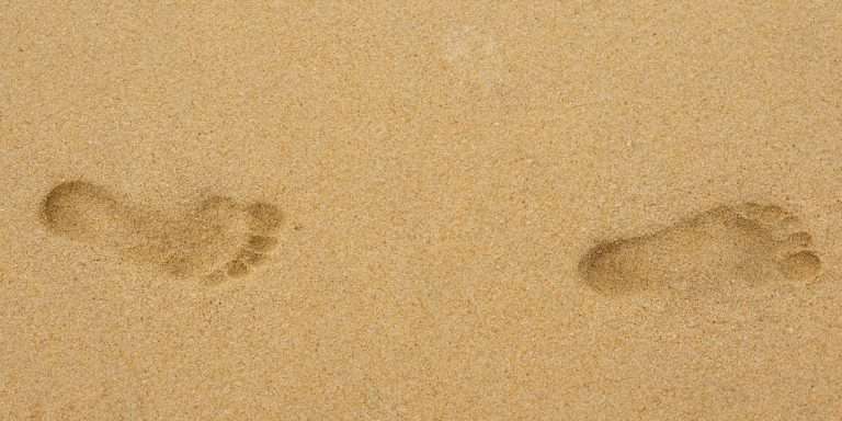 Śravaṇa Nakṣatra: escuchar para comprender, caminar para guiar